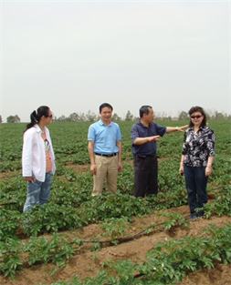 周慶鋒董事長陪同商務(wù)部產(chǎn)業(yè)損害調(diào)查局顧春芳局長馬鈴薯產(chǎn)區(qū)核查